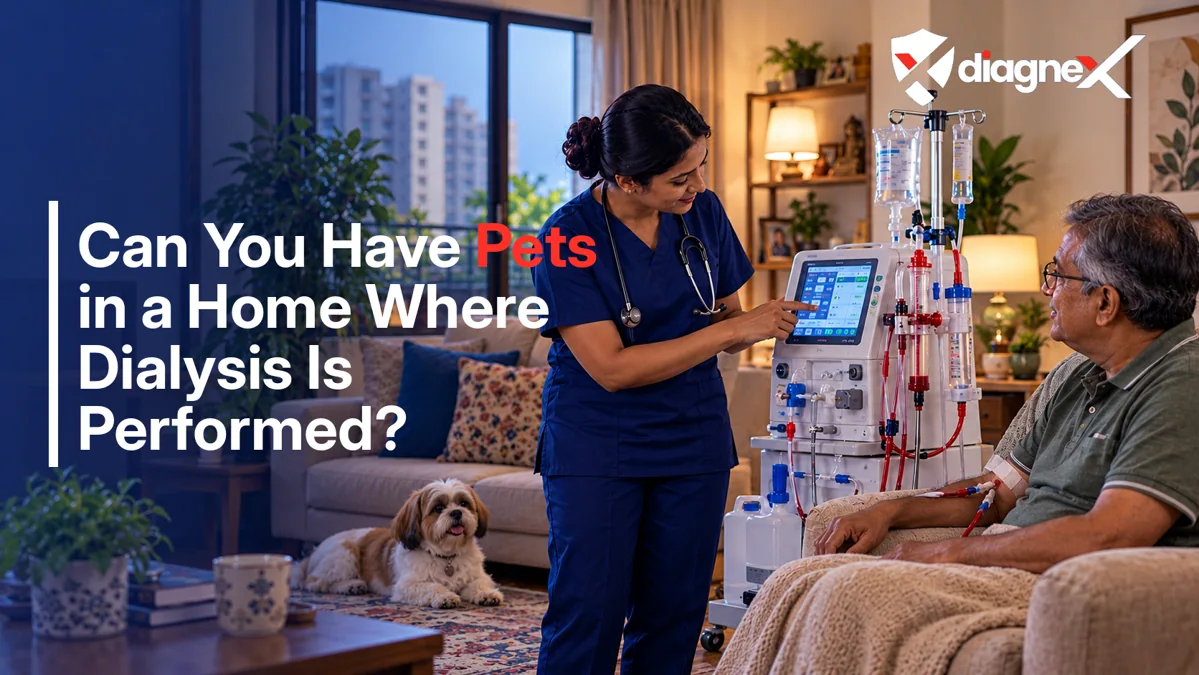 Featured illustration for Can You Have Pets in a Home Where Dialysis Is Performed? on the Diagnex healthcare blog