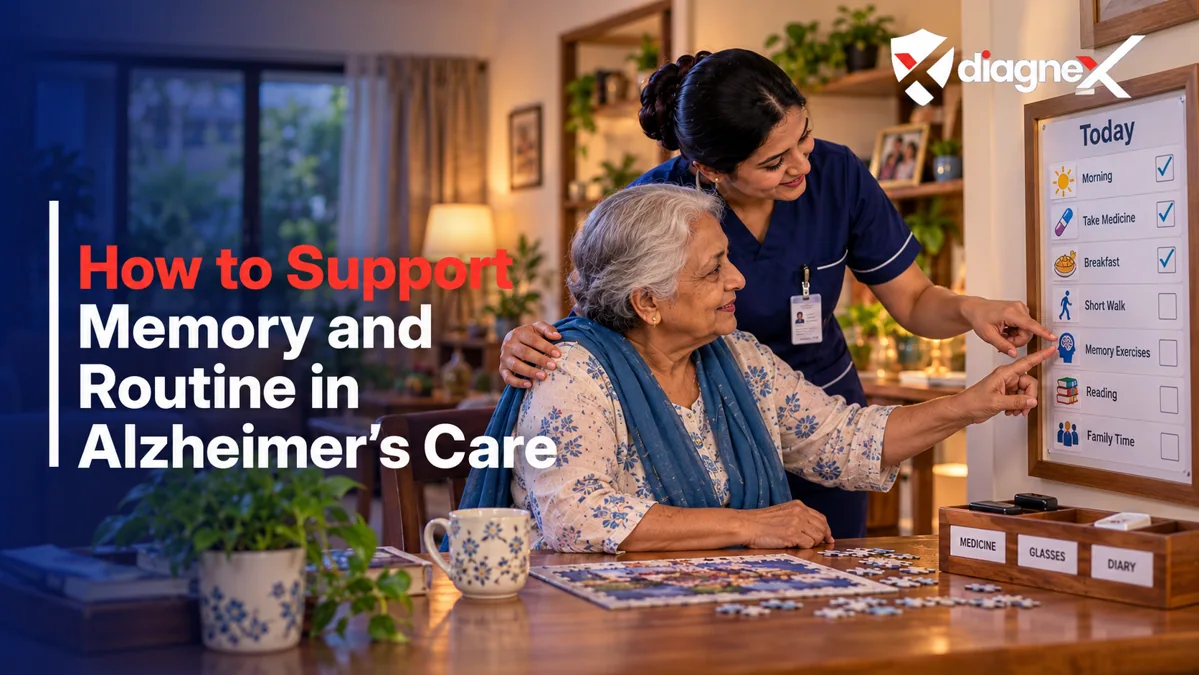 Featured illustration for How to Support Memory and Routine in Alzheimer's Care on the Diagnex healthcare blog