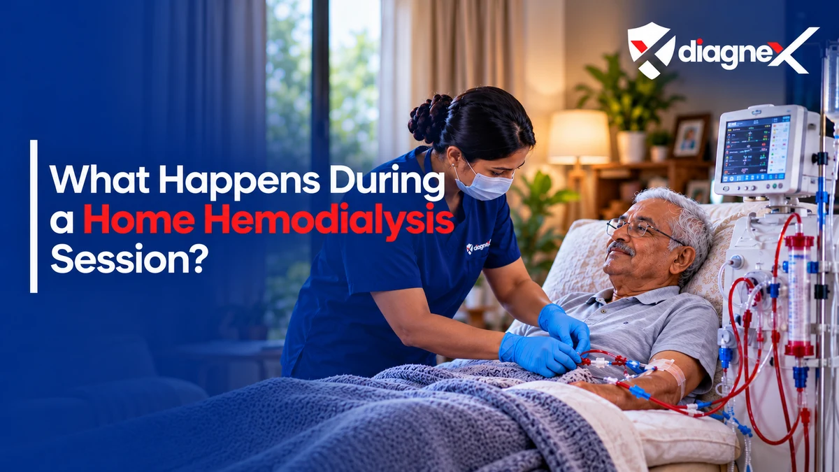 What Happens During a Home Hemodialysis Session? - Diagnex